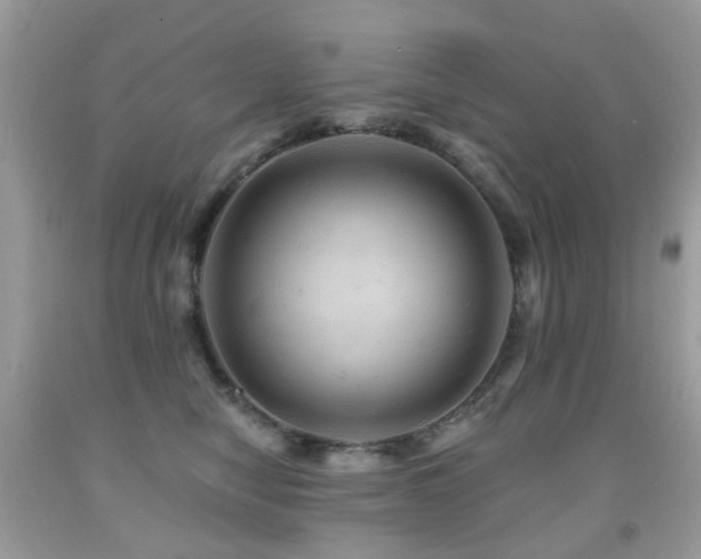 X0000091950470200709061244