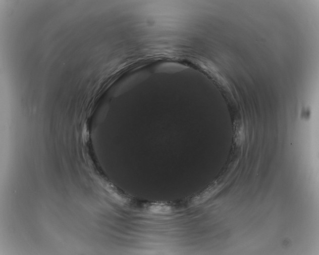 X0000091950471200709061244