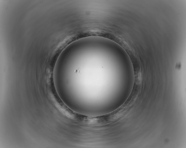 X0000091950472200709061244