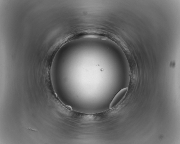 X0000091950473200709061244