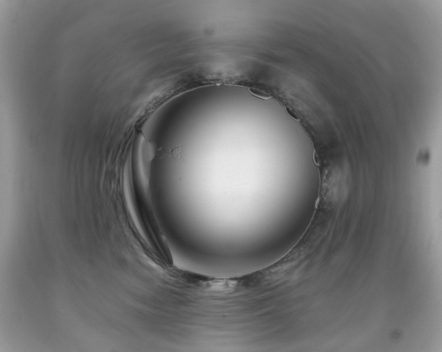 X0000091950474200709061244