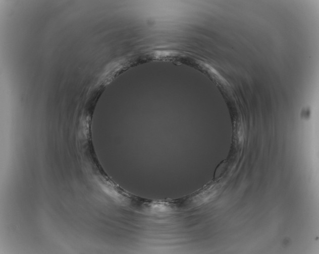 X0000091950475200709061244