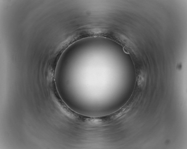 X0000091950476200709061244
