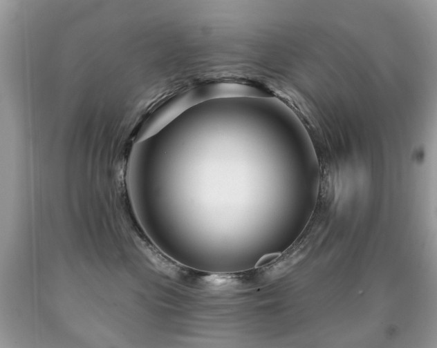 X0000091950477200709061244