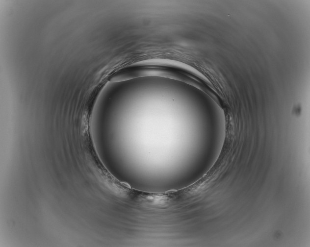 X0000091950478200709061244
