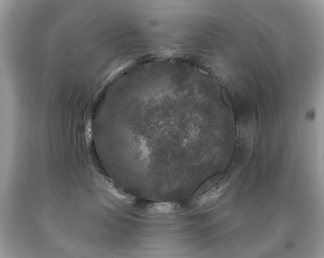 X0000091950479200709061244
