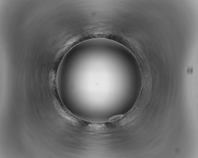 X0000091950480200709061244