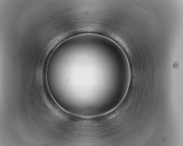 X0000091950482200709061243