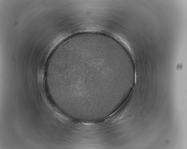 X0000091950483200709061243