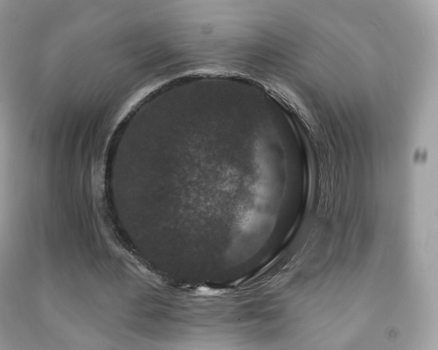 X0000091950484200709061243