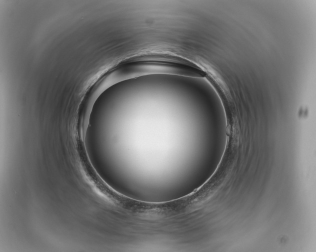 X0000091950485200709061243