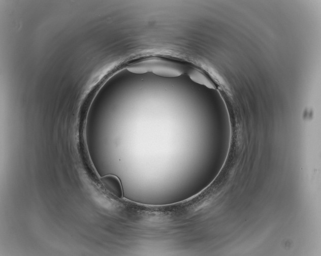 X0000091950486200709061243