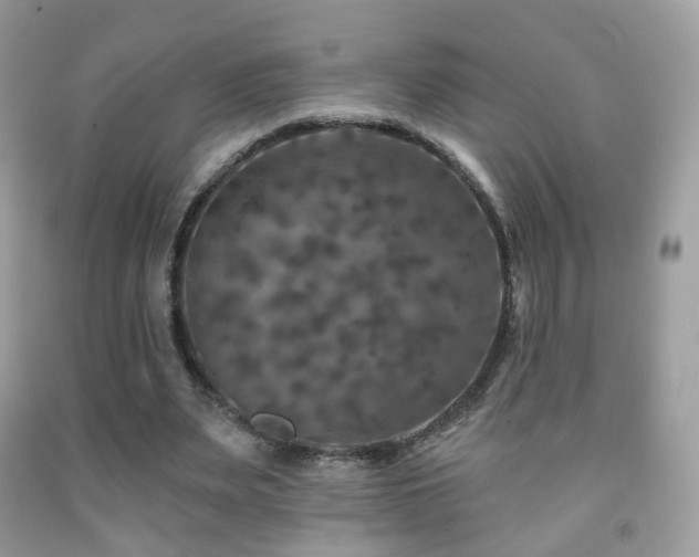 X0000091950487200709061243