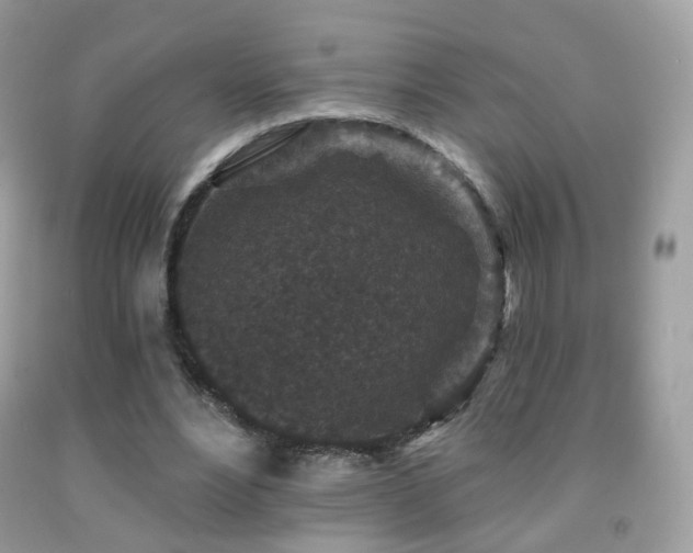 X0000091950488200709061243