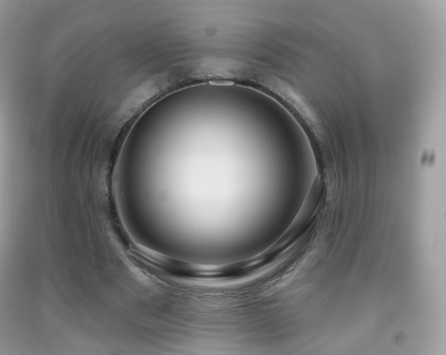 X0000091950489200709061243