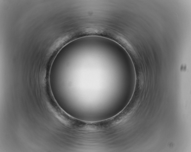 X0000091950490200709061243
