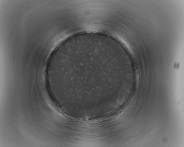 X0000091950492200709061243