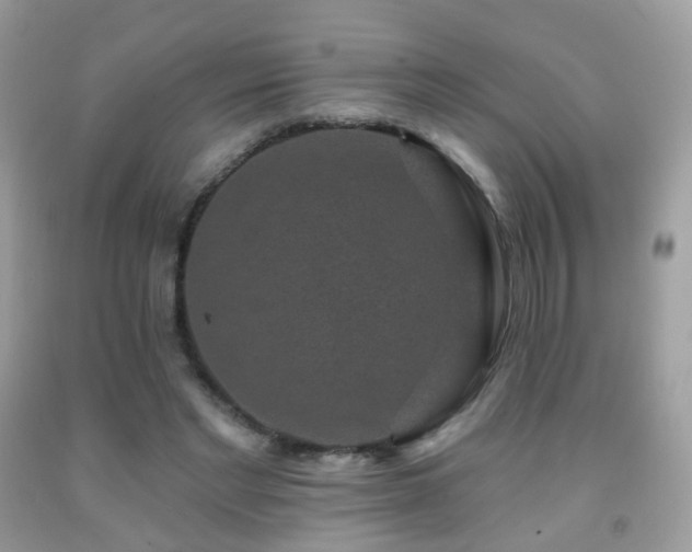 X0000091950493200709061243