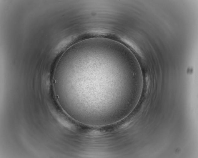 X0000091950494200709061243