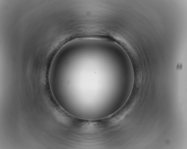 X0000091950497200709061243