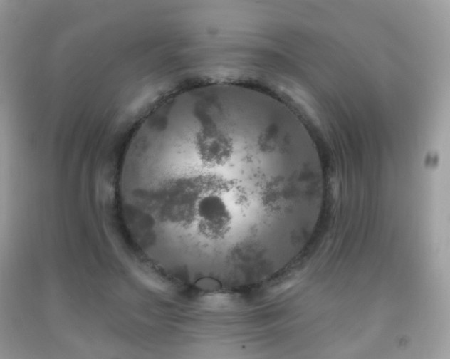 X0000091950499200709061243