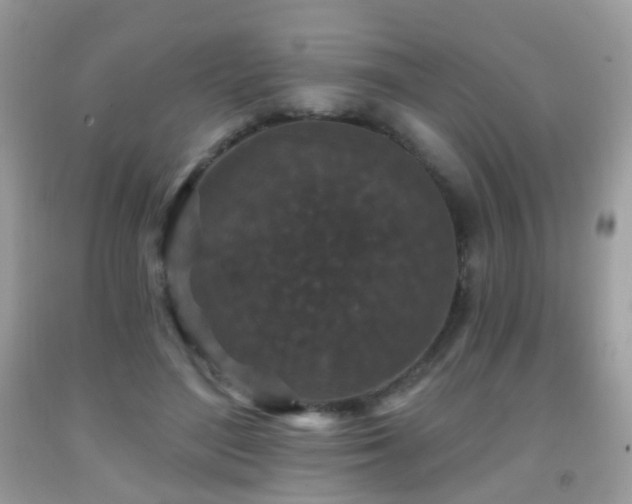 X0000091950500200709061243