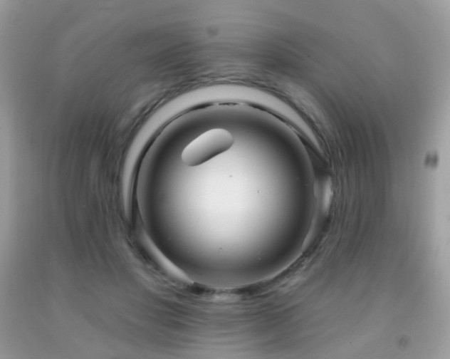 X0000091950501200709061243