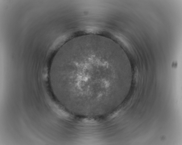 X0000091950502200709061243