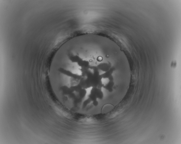 X0000091950503200709061243