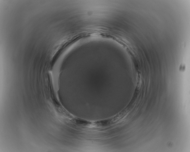 X0000091950504200709061243