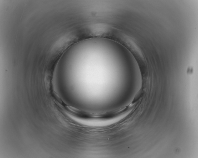 X0000091950505200709061243