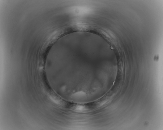 X0000091950507200709061243