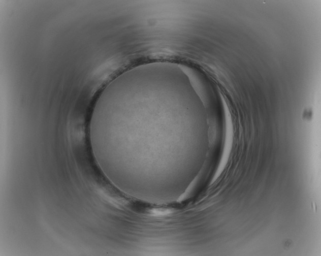 X0000091950508200709061243