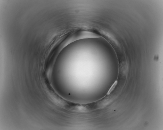 X0000091950509200709061243
