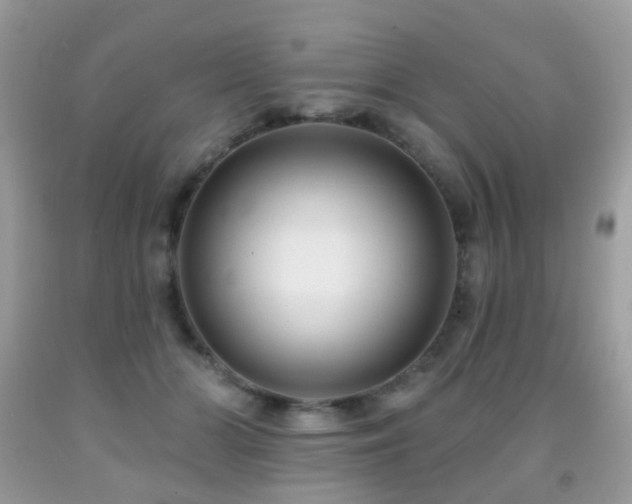 X0000091950510200709061243