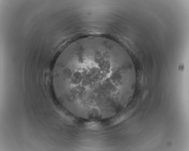 X0000091950511200709061243