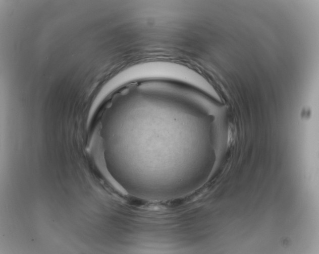 X0000091950512200709061243