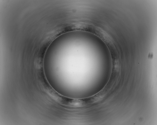 X0000091950514200709061243