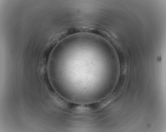 X0000091950515200709061243