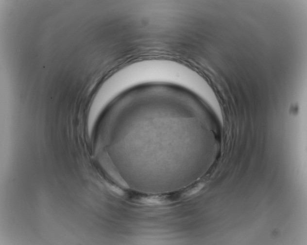 X0000091950516200709061243