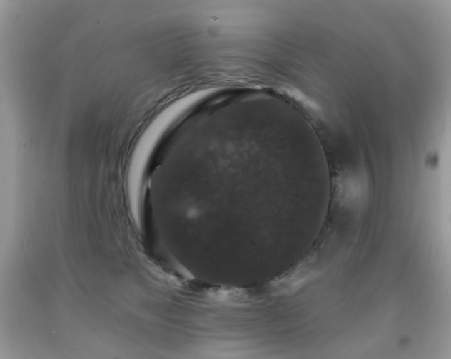 X0000091950517200709061243