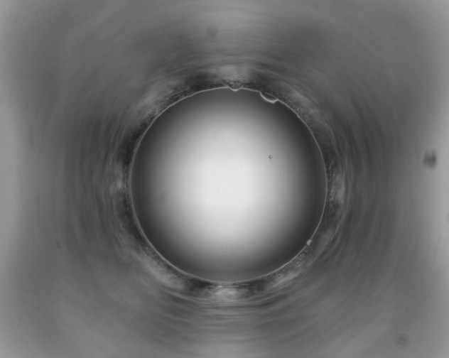 X0000091950518200709061243