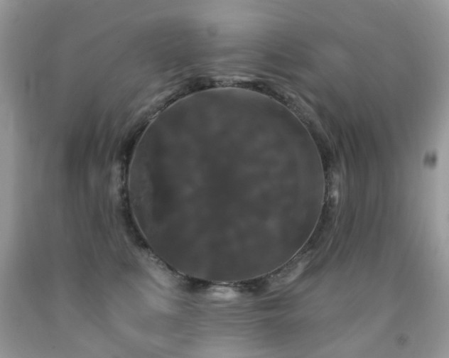X0000091950519200709061243