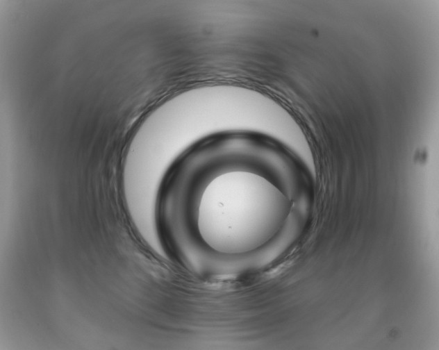 X0000091950520200709061243