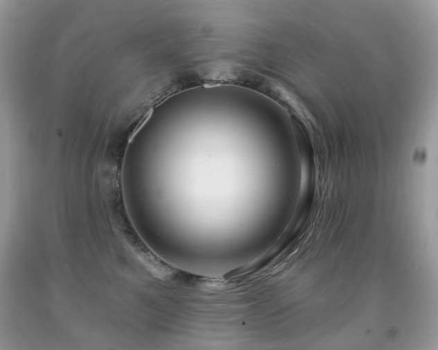 X0000091950521200709061243