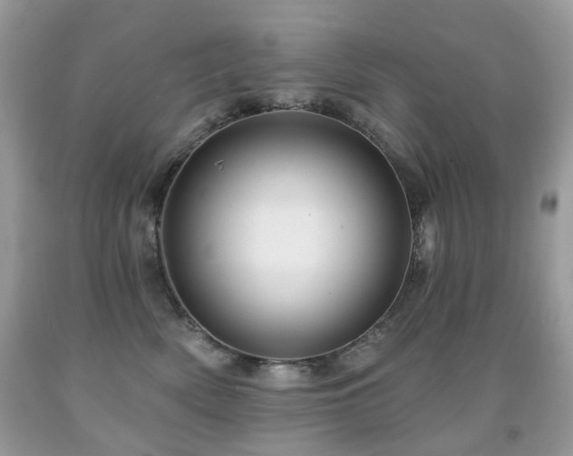 X0000091950522200709061243