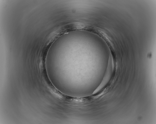X0000091950524200709061243