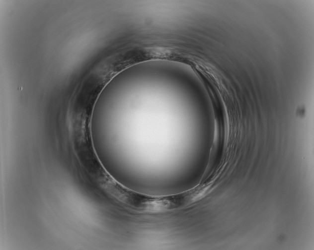 X0000091950525200709061243