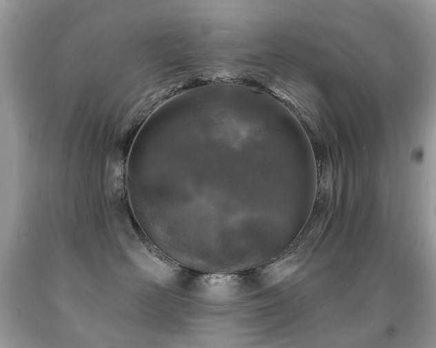 X0000091950526200709061243