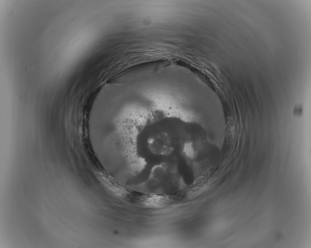 X0000091950527200709061243
